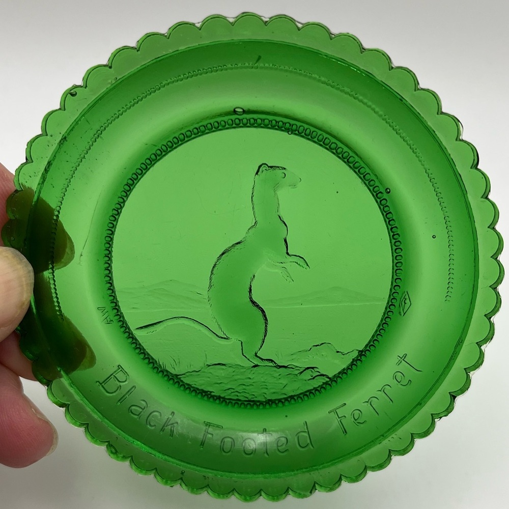 Pairpoint Vtg Green Stamped Cup Plate Featuring The Black Footed Ferret